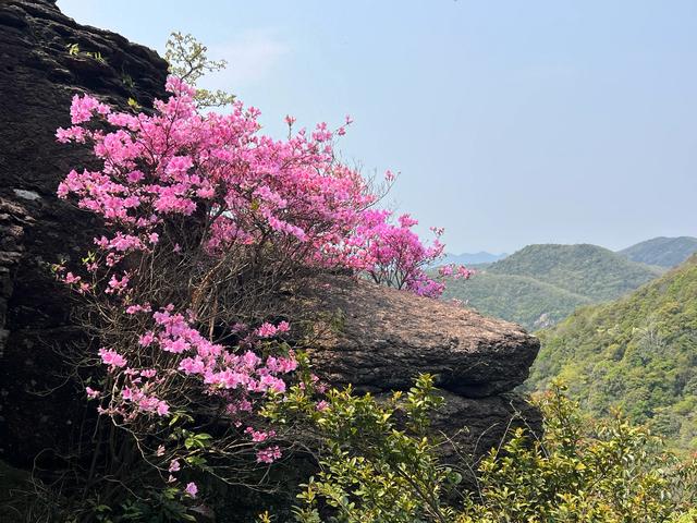 福泉山南北大穿越,天打岩-福如东海-洋山村