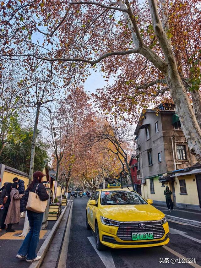 初冬颐和路：梧桐落影里，邂逅半部民国风