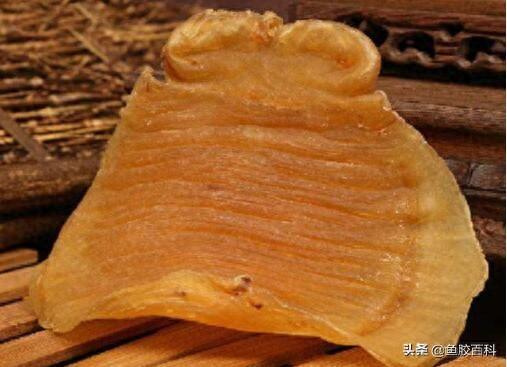 花胶里面很多虫跟粉 2026年花胶有虫子怎么回事
