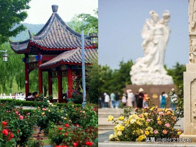 【乐游烟台】五月来烟台，这条周末路线带你玩转莱州！