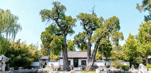 为什么说青州是山东最憋屈的县级市?