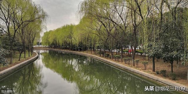 碧玉妆成一树高意思（原来碧玉妆成一树高中的碧玉是这样理解的）
