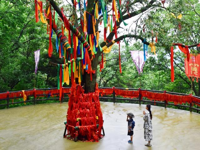 秋假免票福利+非遗羌历年双线发力，九皇山打造秋日文旅新场景
