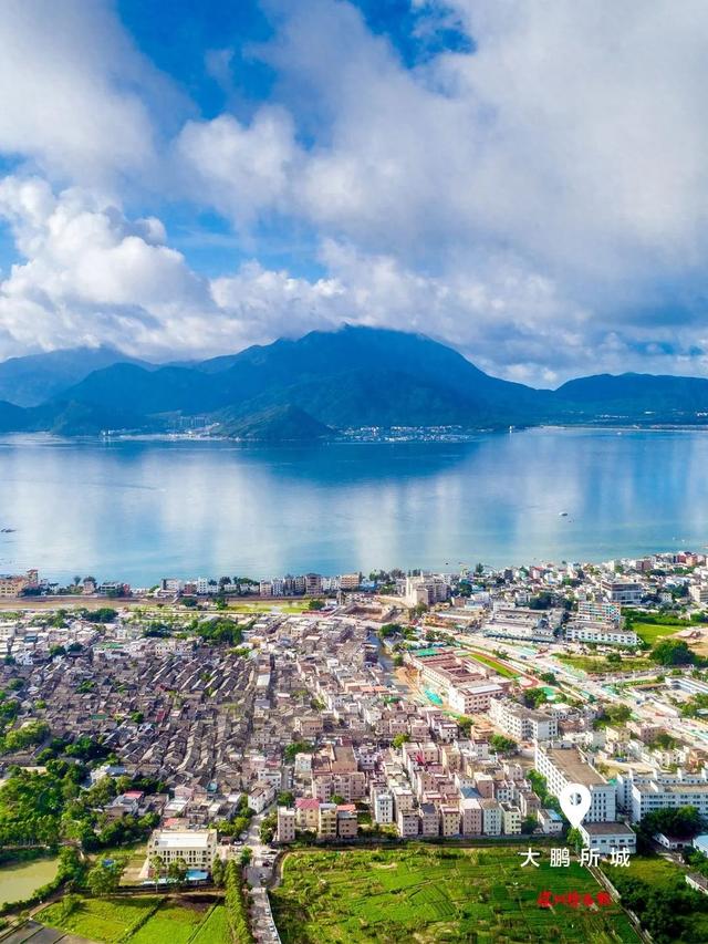 美丽深圳·每日一图｜2025年8月7日