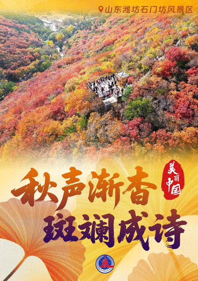 （图表·海报）美丽中国丨秋声渐杳 斑斓成诗（5）