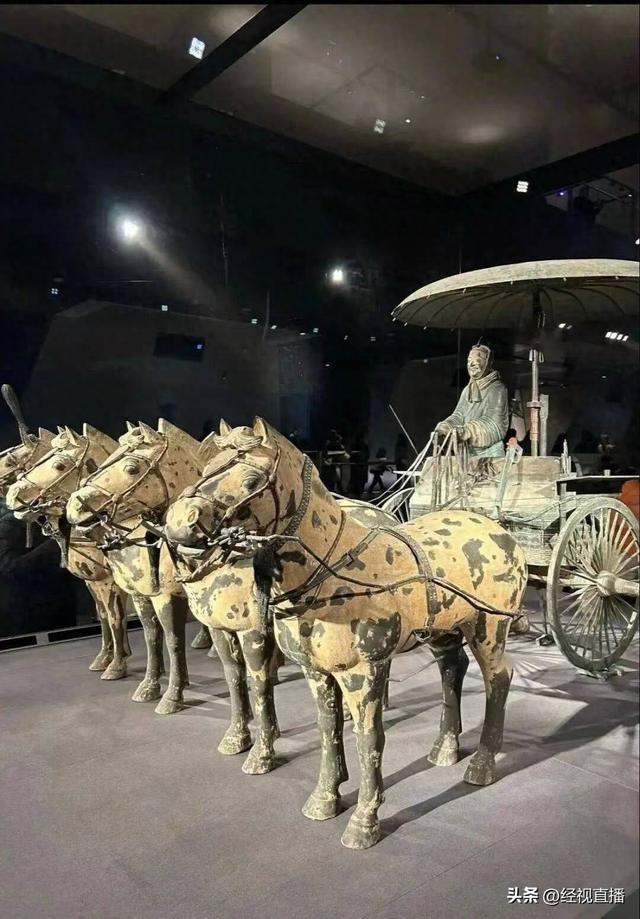 相约博物馆，邂逅千年神驹！这个马年，打卡计划可以安排上了