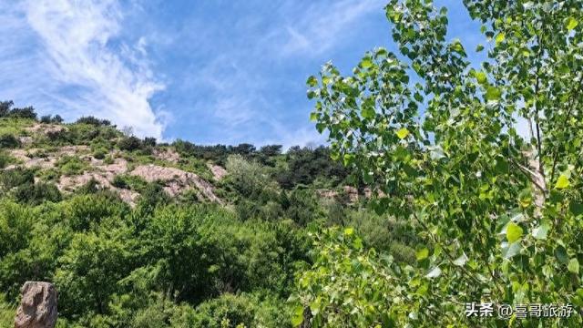 首山公园：辽阳城畔的“天然氧吧”