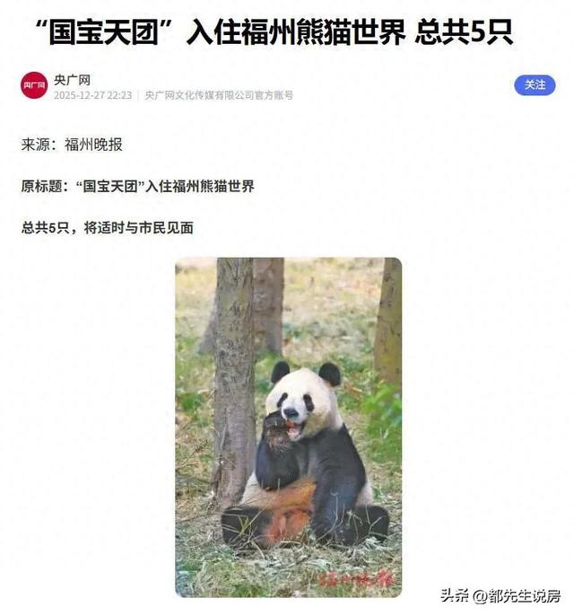不是5A级，胜似5A级，福州旅游新增必打卡点熊猫世界票价多少钱？