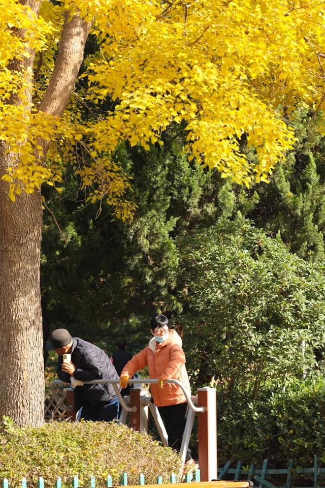 冬天在开封，一定要做这几件事！