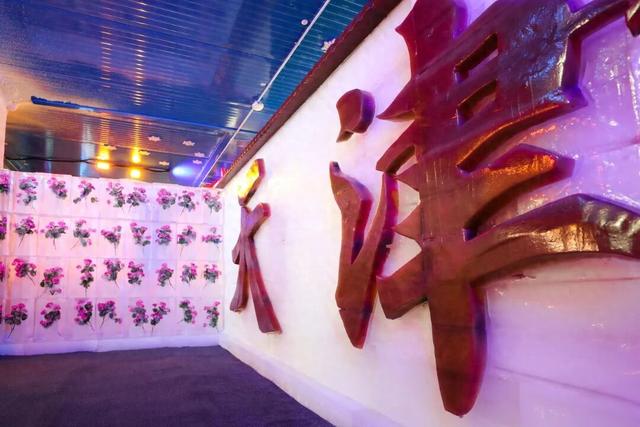 -8℃冰封最美海棠！和平区建“尔滨”同款冰雪世界，365天随时玩雪