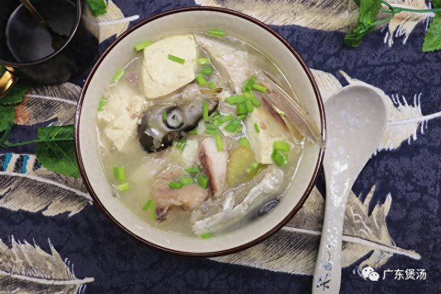 大鱼头可用花胶炖汤 花胶鱼头汤怎么做好吃