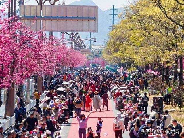 去丽江，赴一场春日之约！三多节里的非遗、美食与万人狂欢