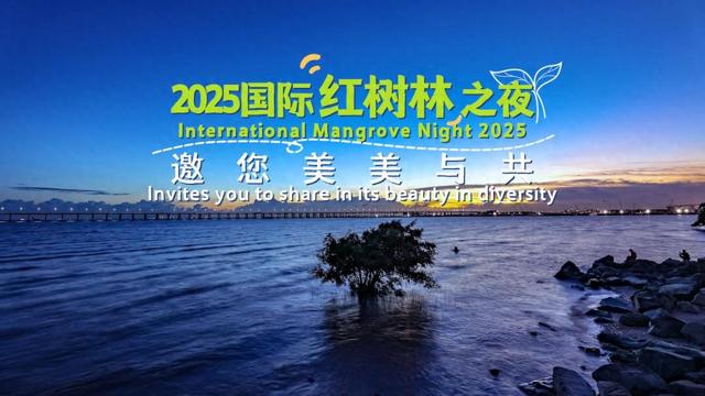今夜共赴这场生态盛宴！Let's Join This Ecological Celebration Tonight