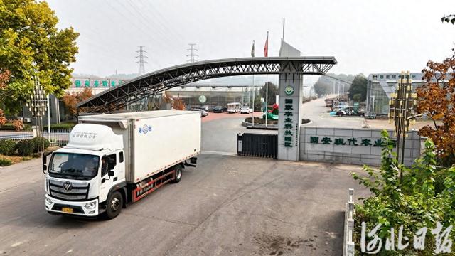 大数据里“读”河北丨河北稳居供京蔬菜第一大省地位