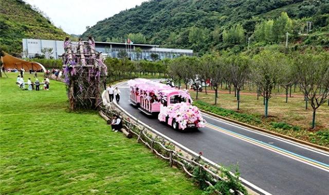 湖北竹山以花海颜值提升花样价值