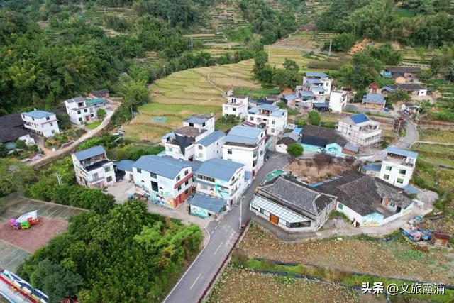 每日一村:霞坪村——荷香漫谷的畲乡秘境,诗画交织的夏日桃源