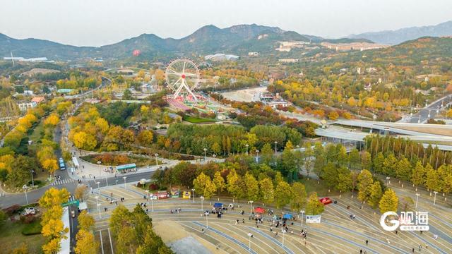 “秋日限定”上线！世博园赏秋正当时