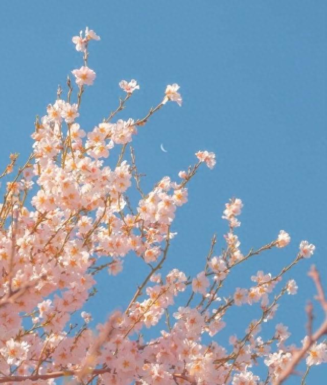 婚姻还是原配好，为何老年人说宁愿嫁娶离异的，也不嫁娶丧偶的？