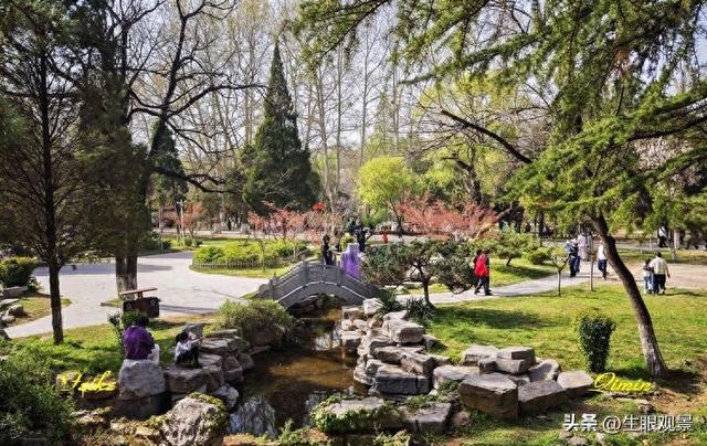 影记 | 春色春景之青州范公亭(上)