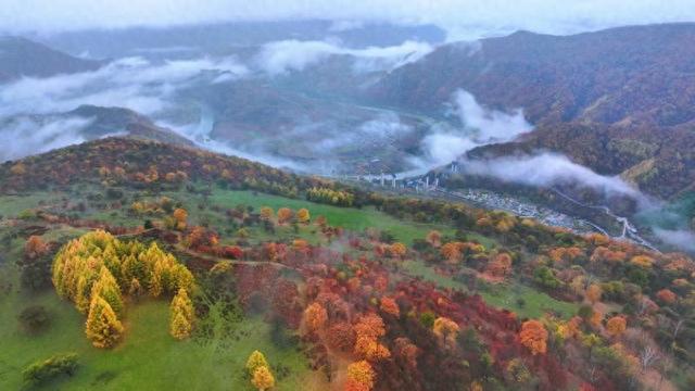 问道吉线G331——平岗天然牧场秋日盛景引客来