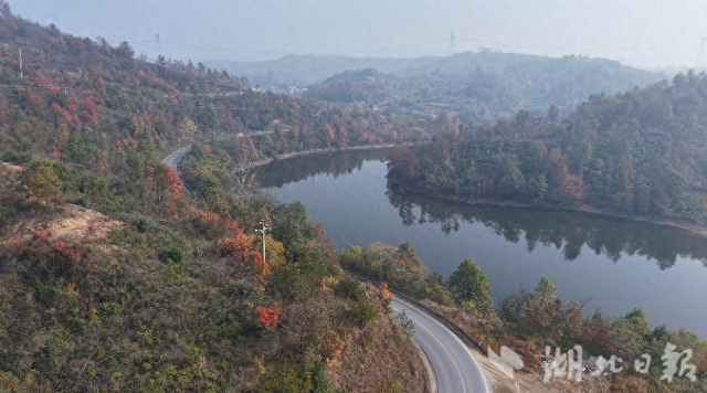 大悟：红叶映山秋意浓   层林尽染引客来