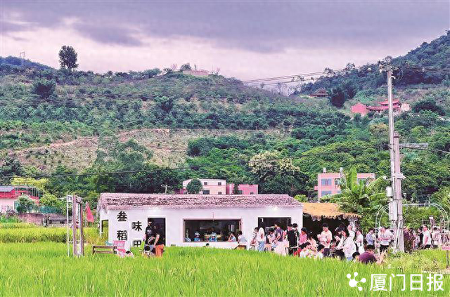 厦门秋意渐浓，来这些地方感受不同的秋日氛围！