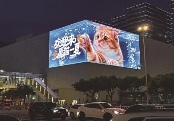 一把椅子 一只猫 一场乡愁