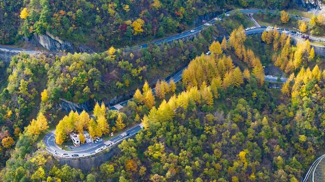 镇坪县：红叶映山 客满农家
