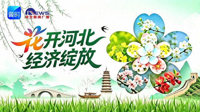 花开河北·经济绽放 | 万里长城＋万亩杏花，金山岭的“花期流量”藏不住了