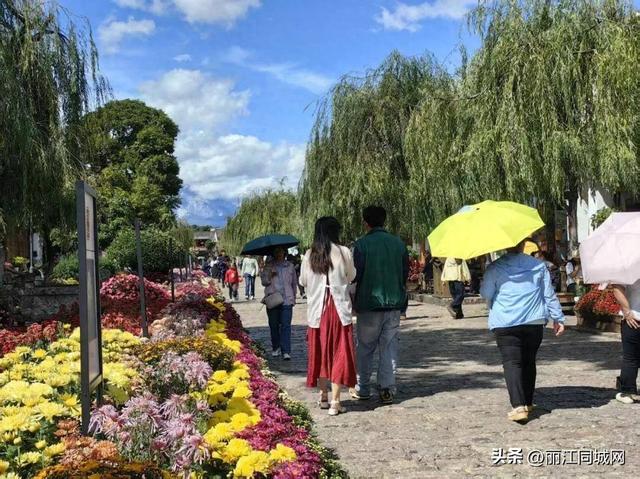 双节同庆乐游丽江古城 八方游客沉醉诗与远方