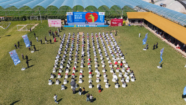 礼泉：“五一”文旅市场交出亮眼答卷