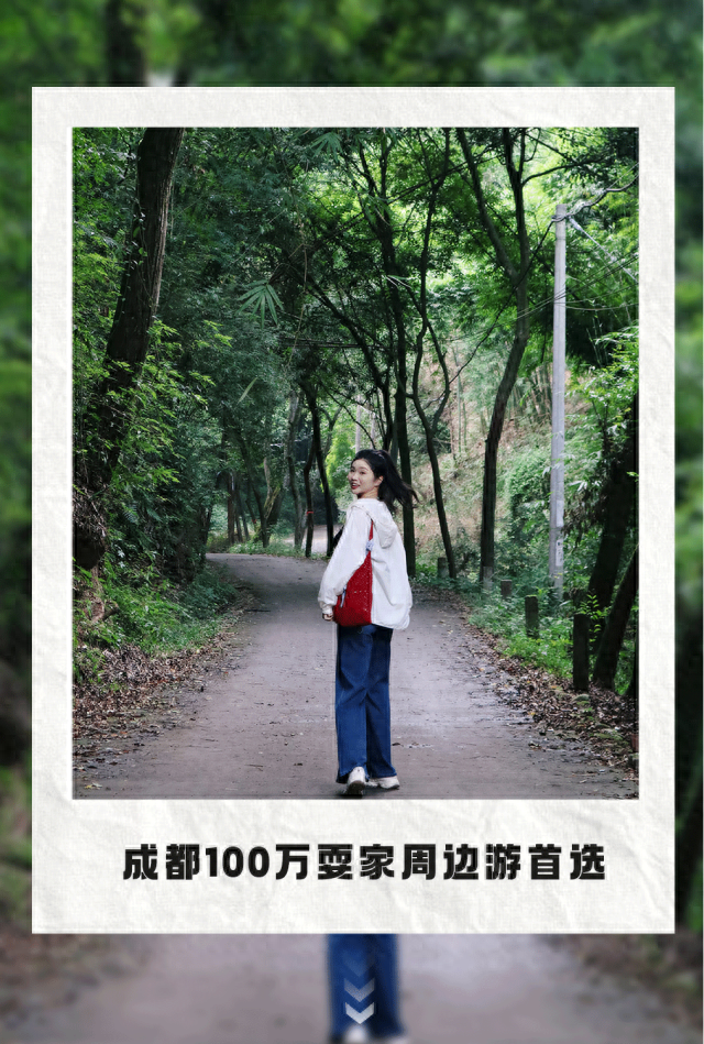 周末就冲！亲测3条被严重低估的徒步线，林海吸氧峡谷石窟！全部免费最快40min飙拢！