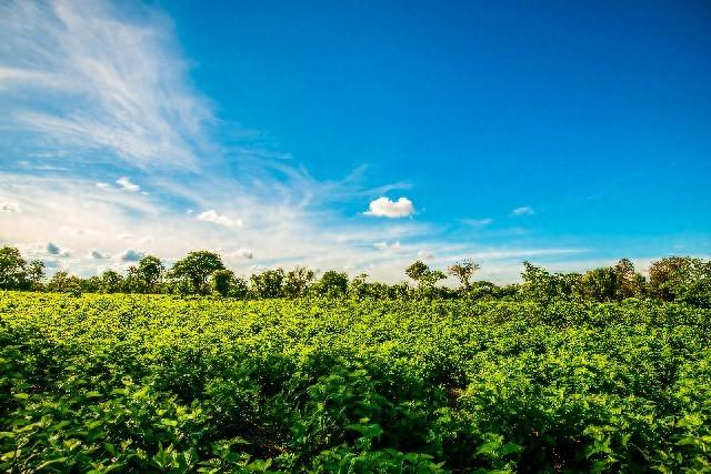 我是山东人刚从西藏昌都回来啦，实在忍不住想说五点印象啊