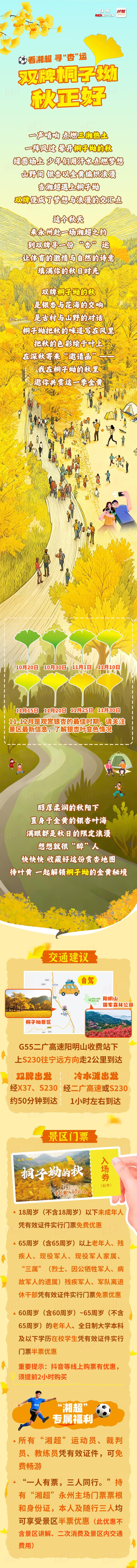 长图丨看湘超、寻“杏”运！双牌桐子坳秋正好