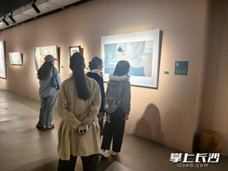 表像绘形心象传神 第四届湖南青年美术家作品展在长开展