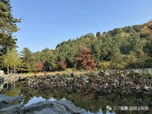 立冬—香山晨记（萧毅）