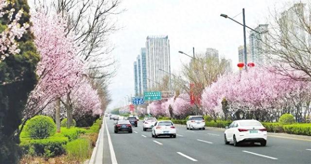 【文明旅游】太原，繁花似锦！