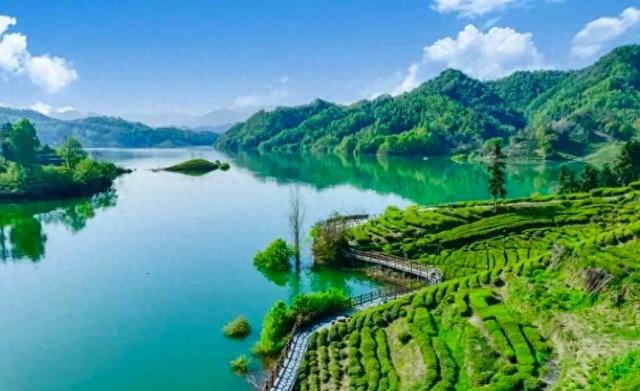 多款“春日良方”上线！来六安，治愈你的“节后综合征”→