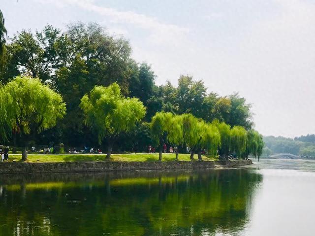 用多音字晃组词要6个（三年级上册多音字和形近字整理）