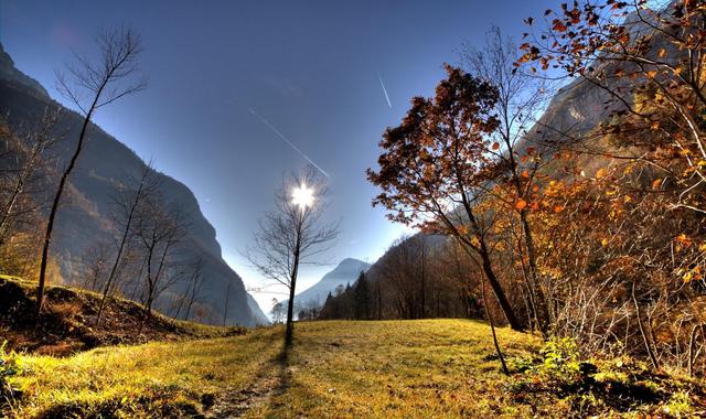 2025年10月29日 第41页