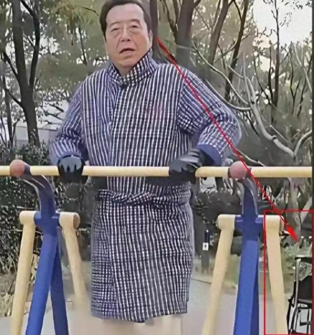 一月5万还不够花？86岁李双江仍在县城接商演，一旁轮椅惹人心疼