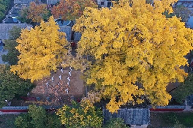 中国新闻网 | 从山海古城到青春乐场，日照的滨海文旅破圈之路