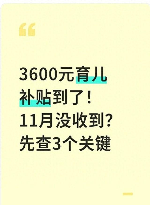 3600元育儿补贴到了！11月没收到？先查3个关键