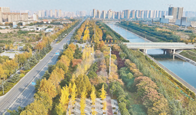 秋天美了一座城！郑州这些景观大道很出片