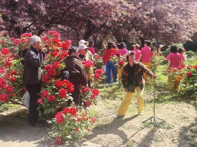 美到窒息！汉台这里藏着国色天香