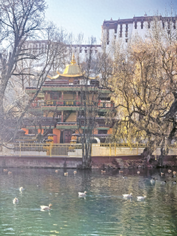 从布达拉宫到拉萨河畔，读懂日光城的底蕴与温度