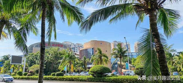 陵水公交迷魂记：我与一辆“薛定谔的33路”的奇幻之旅