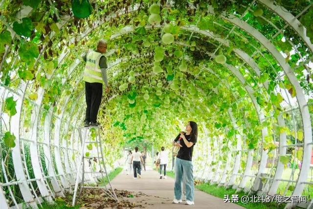 太原植物园“双节”文旅盛宴异彩纷呈