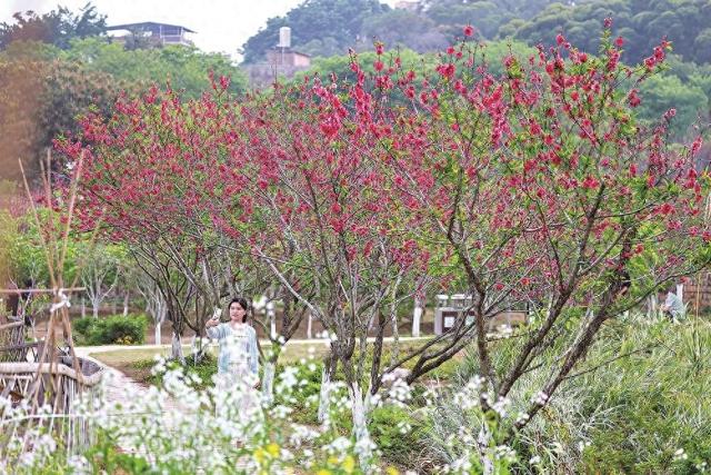 春和景明 不负花期