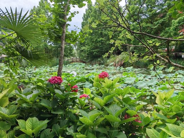 乌当:“烟火气”与“诗远方”相得益彰